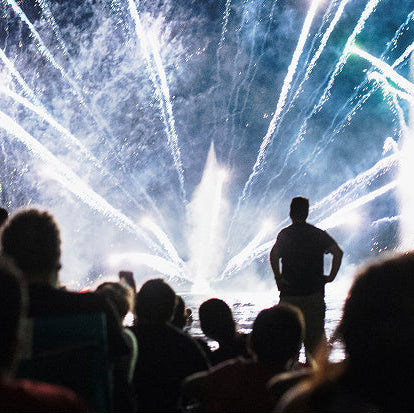 The Different Types of Fireworks Explained