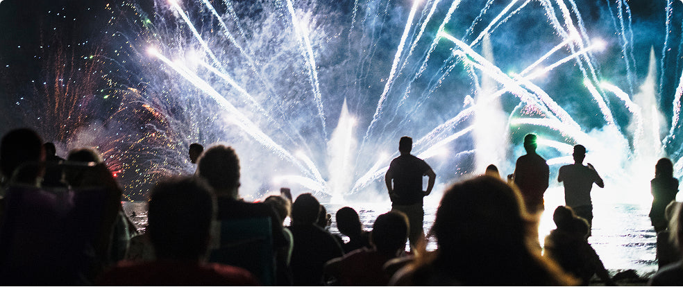 The Different Types of Fireworks Explained