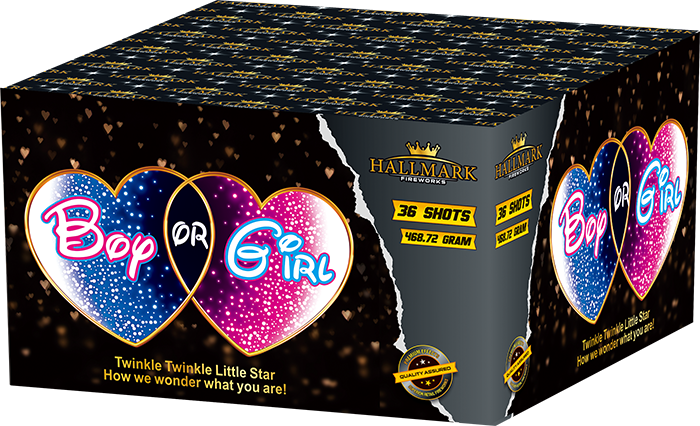 Boy Or Girl Gender Reveal